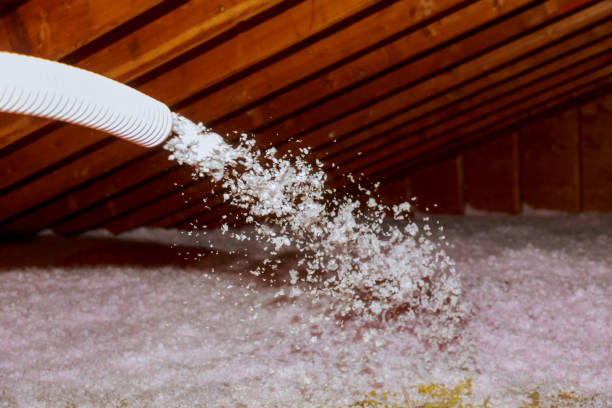 Best Blown-in Insulation  in Orangeburg, NY