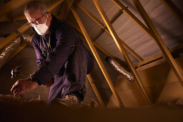 Best Insulation Repair Services  in Orangeburg, NY